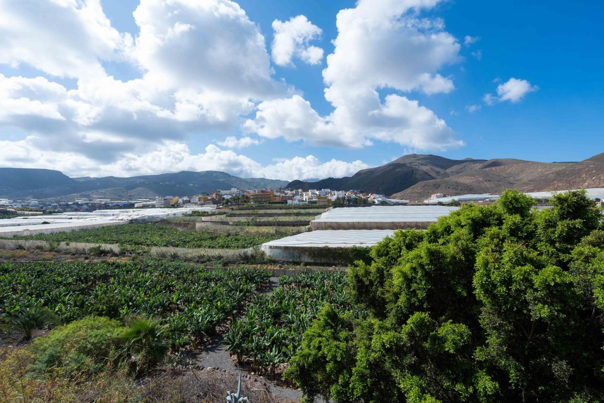 Las Fajanas De Galdar Las Palmas de Gran Canaria Exterior photo